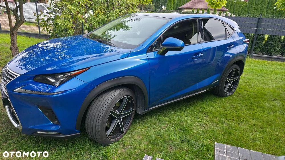 Lexus NX 300h Omotenashi AWD - 12
