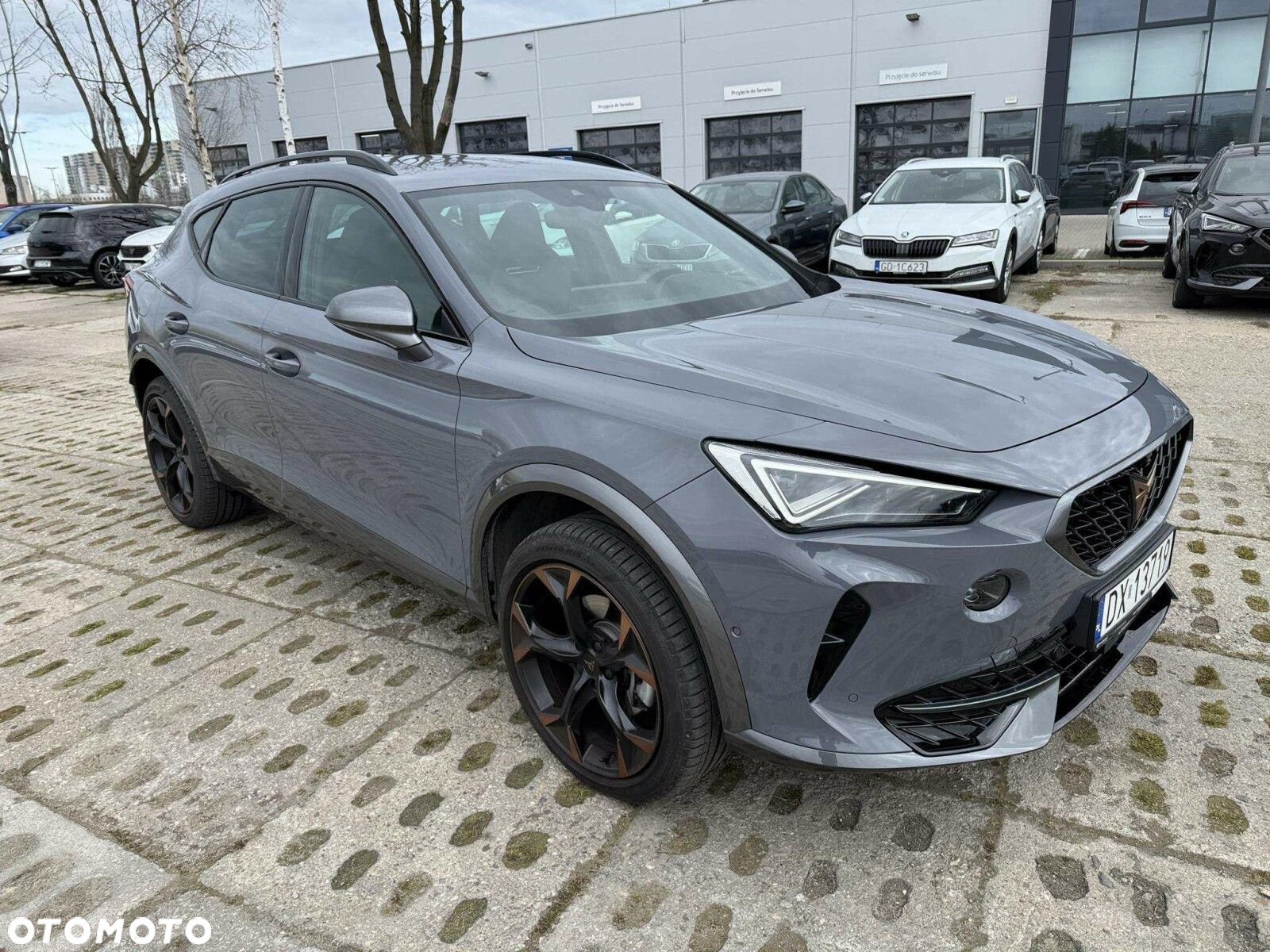 Cupra Formentor 2.0 TSI 4Drive DSG - 2