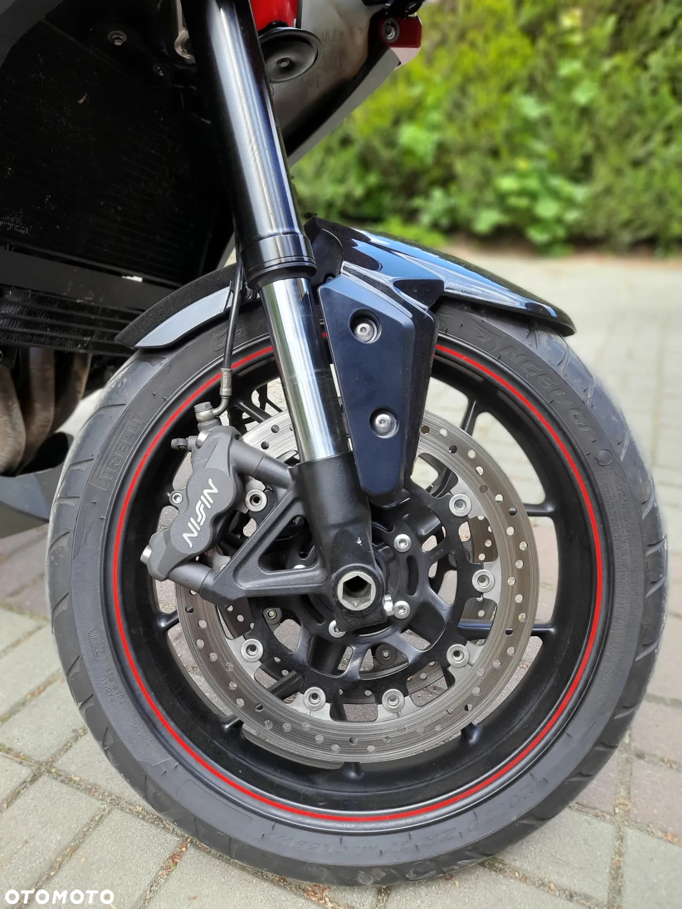 Triumph Tiger - 5