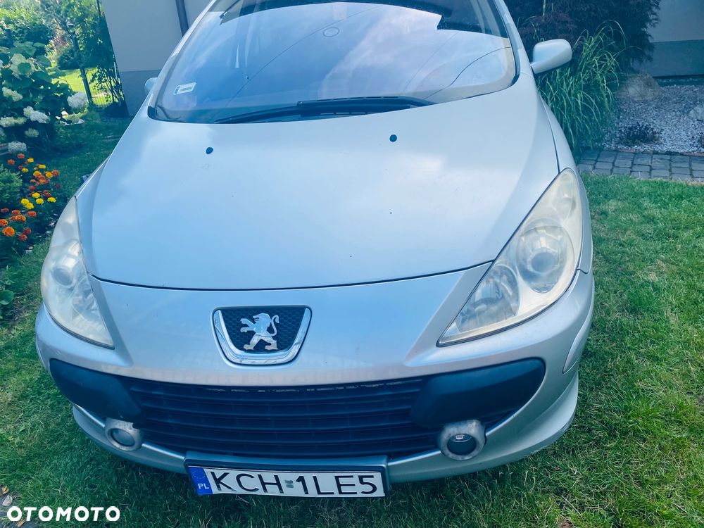 Peugeot 307 1.6 - 10