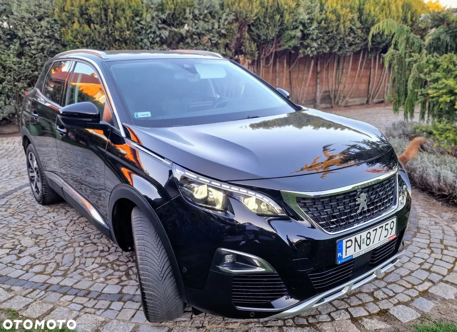 Peugeot 3008 1.5 BlueHDi Allure S&S EAT8 - 2