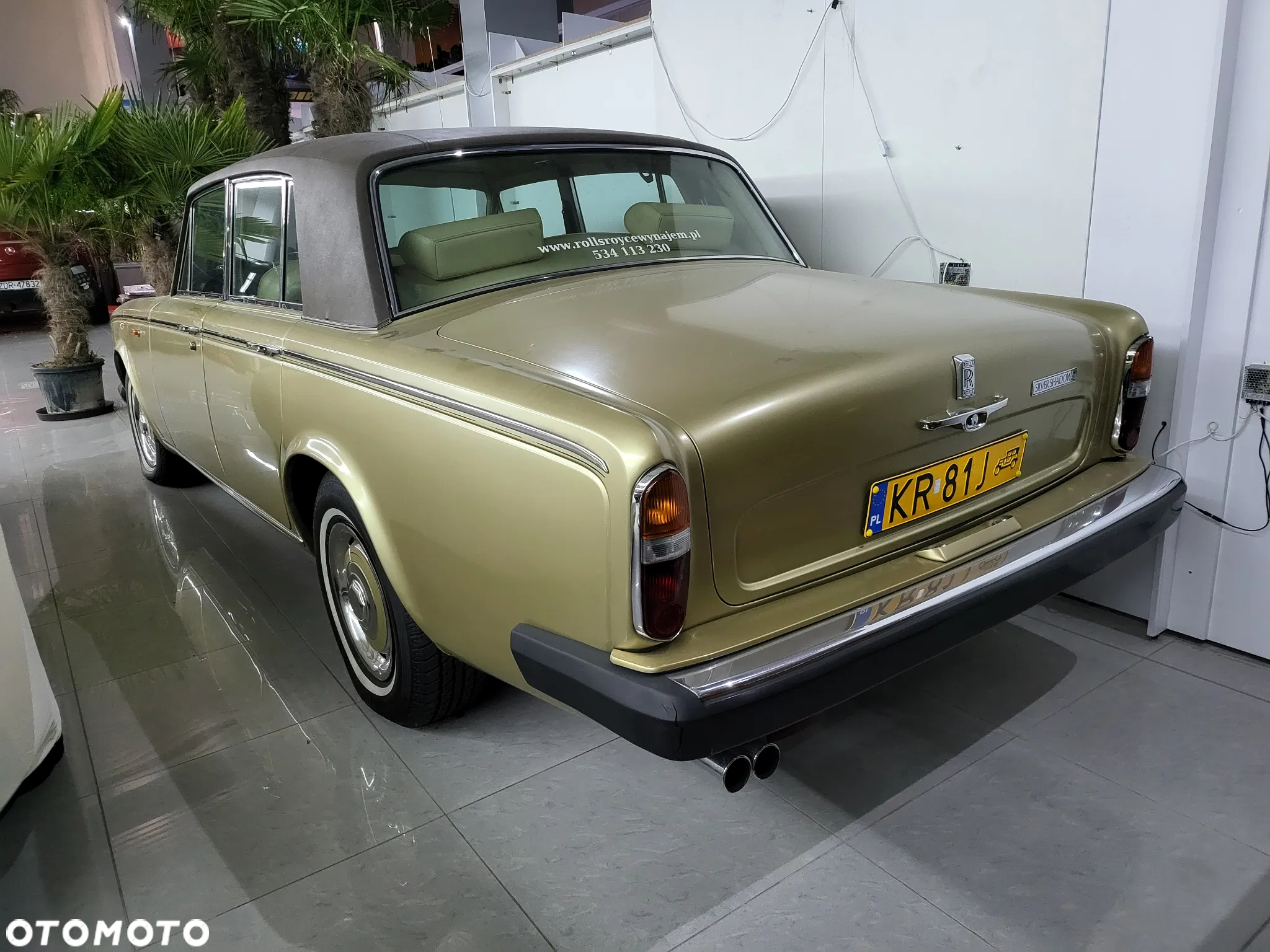Rolls-Royce Silver Shadow - 4