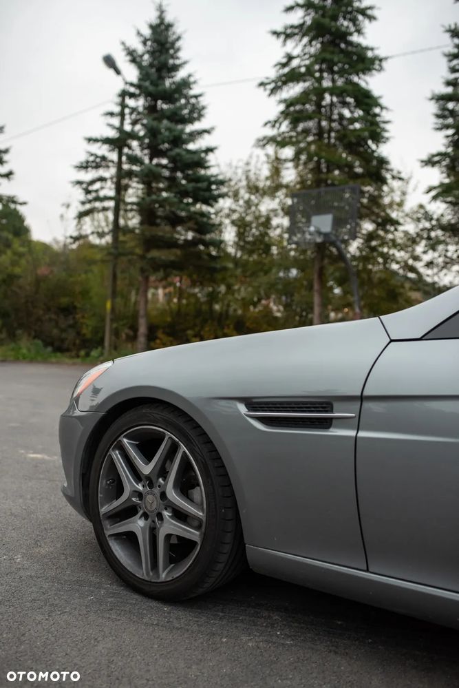 Mercedes-Benz SLK 250 (BlueEFFICIENCY) 7G-TRONIC - 33