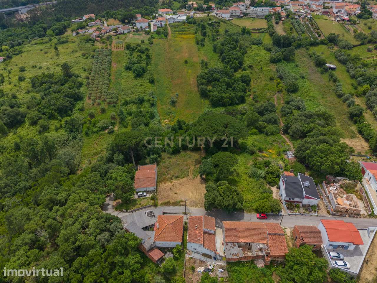 Terreno com 2.705 m² na Boavista, Alcobaça - Grande imagem: 4/11