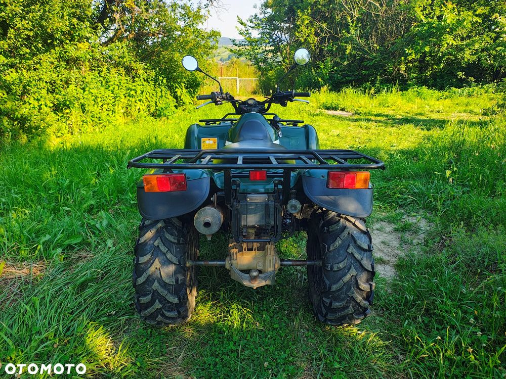 Kawasaki Brute Force - 5