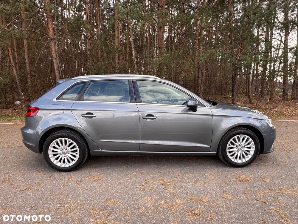 Audi A3 Sportback 1.6 TDI DPF Ambition - 13