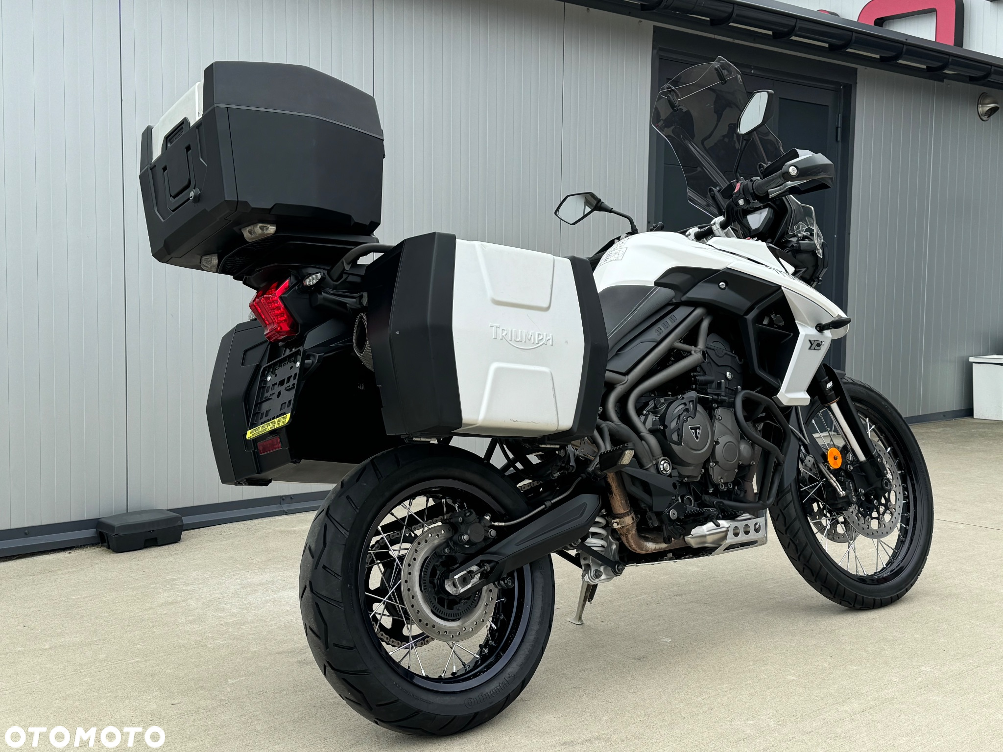 Triumph Tiger - 21