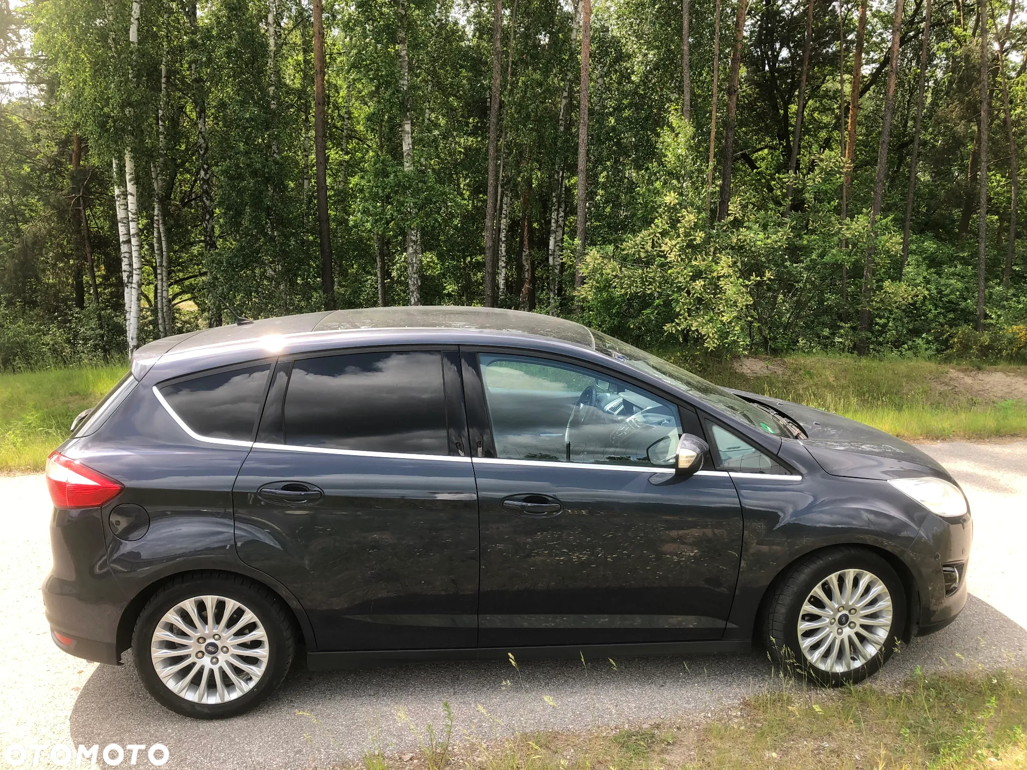 Ford C-MAX 1.6 EcoBoost Titanium ASS - 13