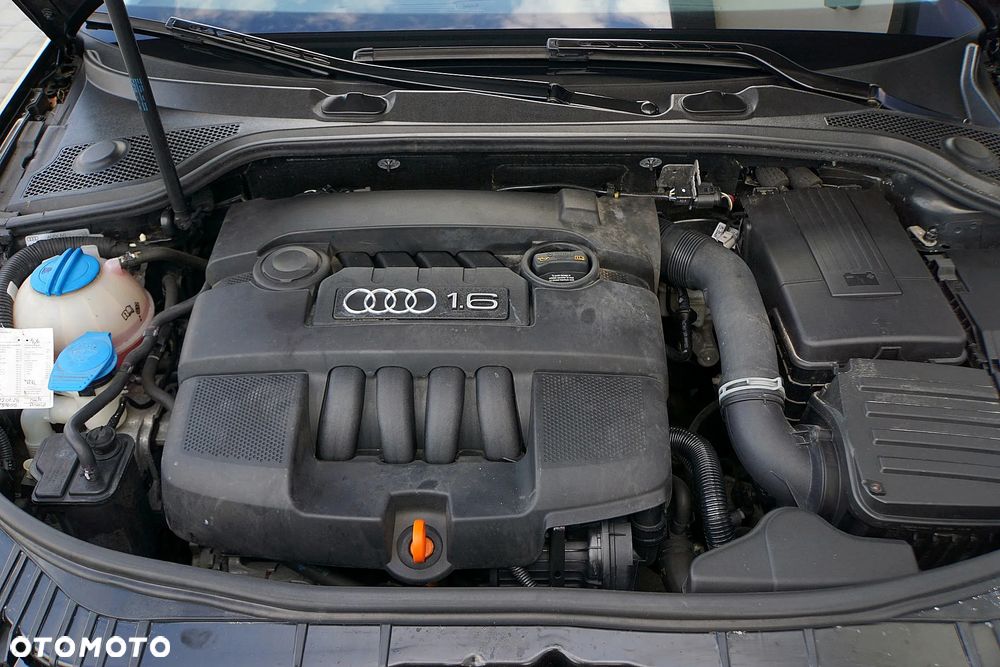 Audi A3 Sportback 1.6 Attraction - 17