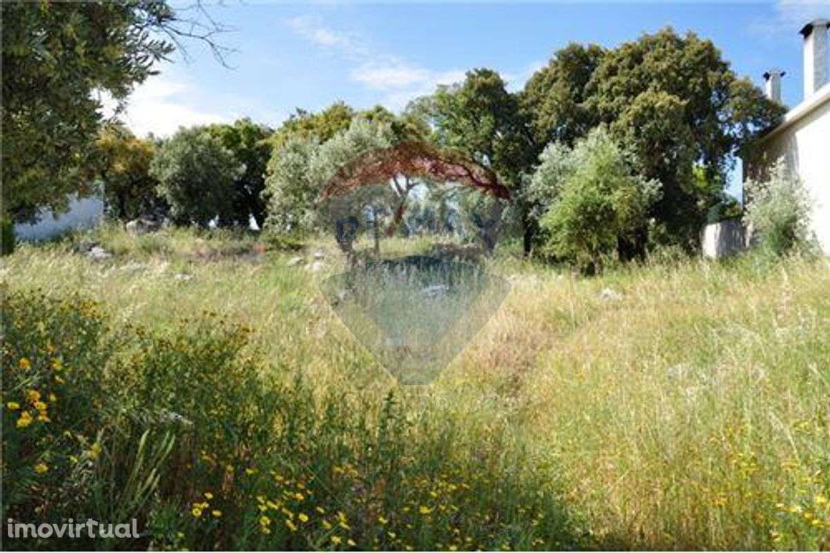 Terreno T0 para venda - Grande imagem: 2/4