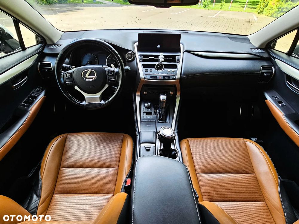 Lexus NX - 13