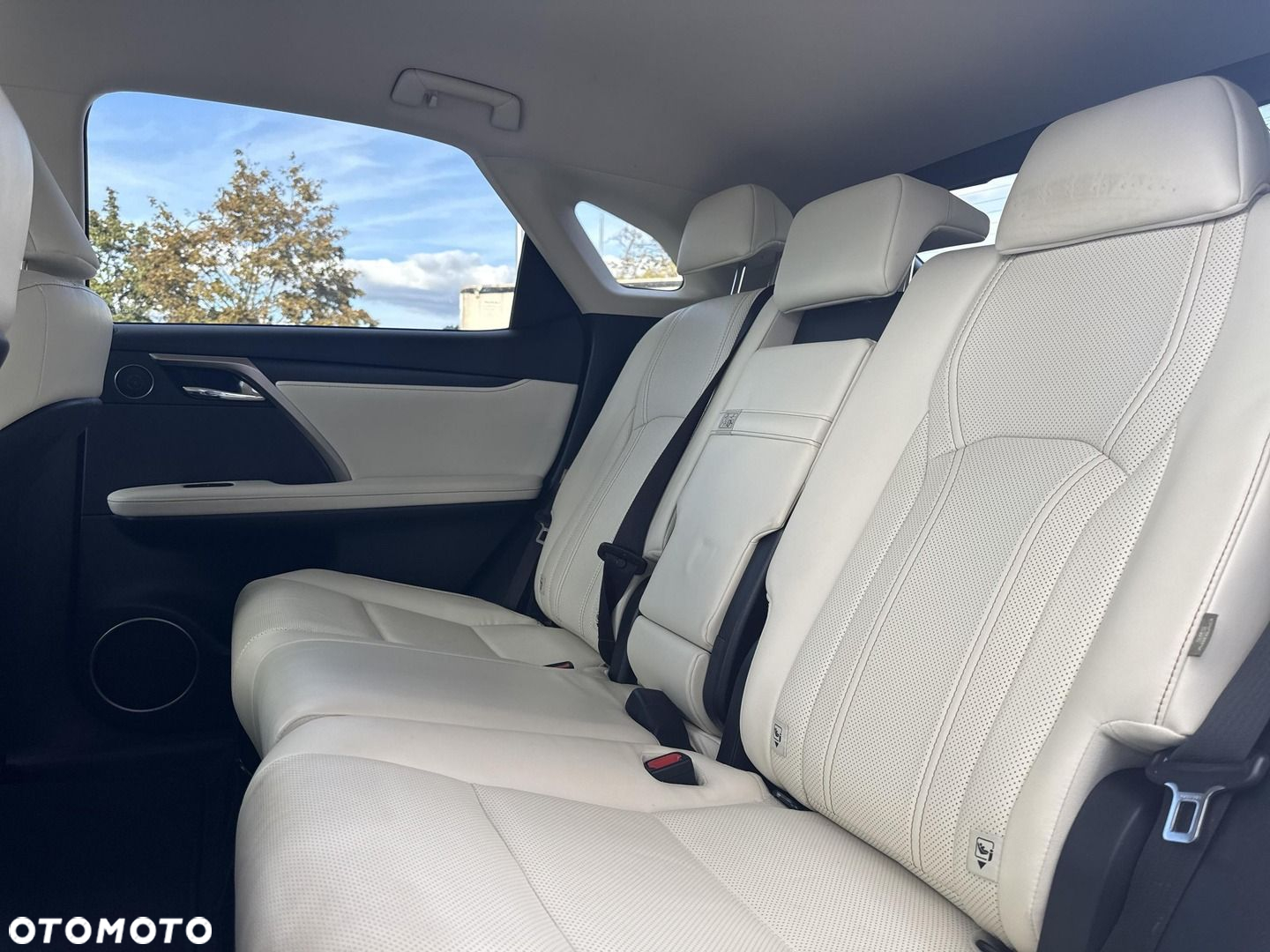 Lexus RX 450h F-Impression - 19