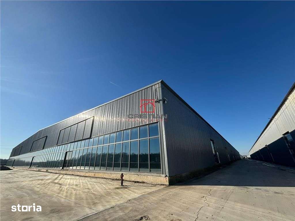 Inchiriere depozithalaspatiu industrialshowroom Afumati - DN2 - Dorall - Imagine principală: 2/20