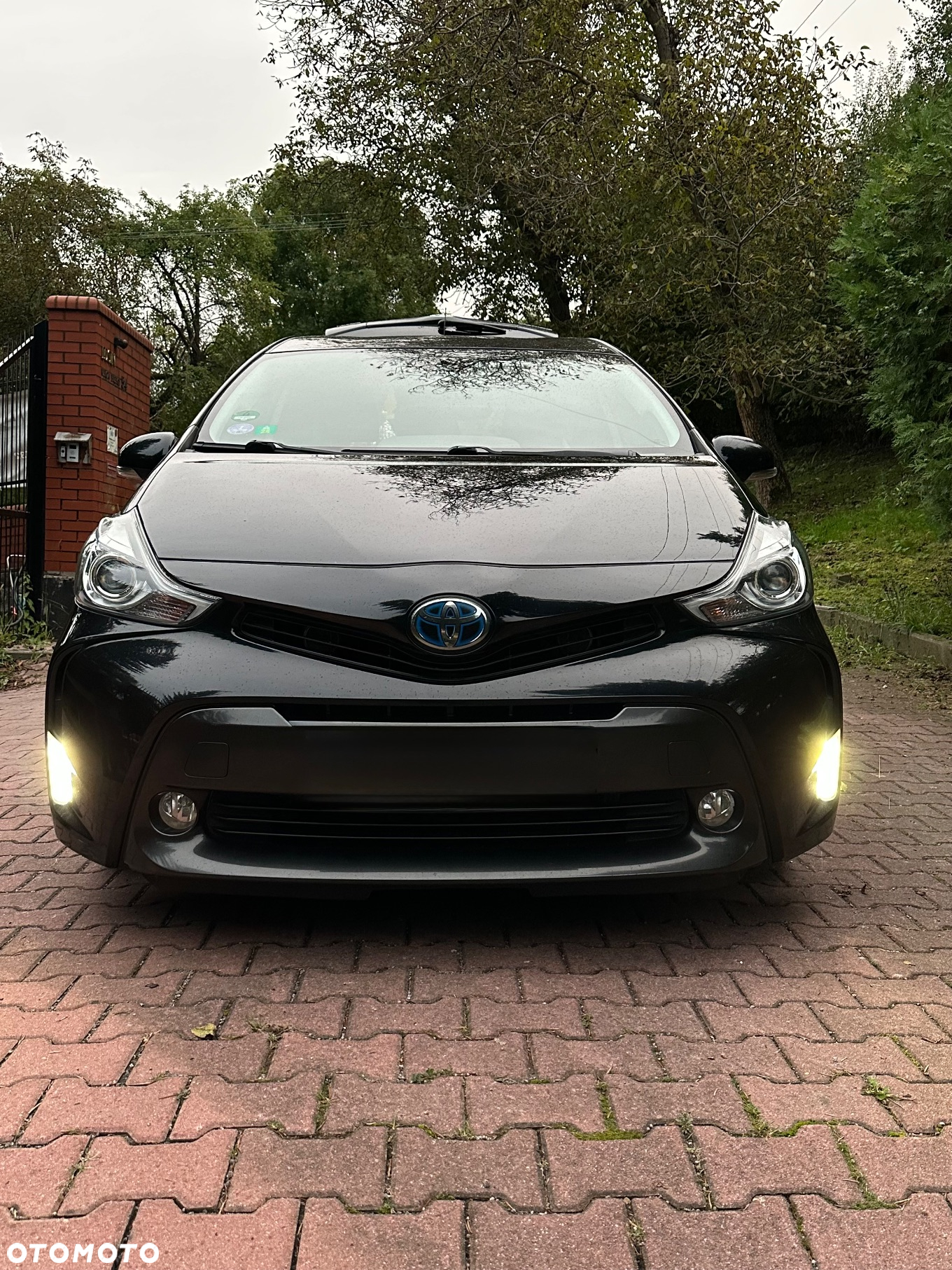 Toyota Prius+ (Hybrid) - 8