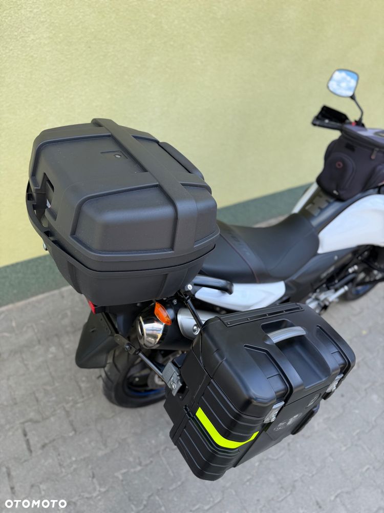 Suzuki DL - 12