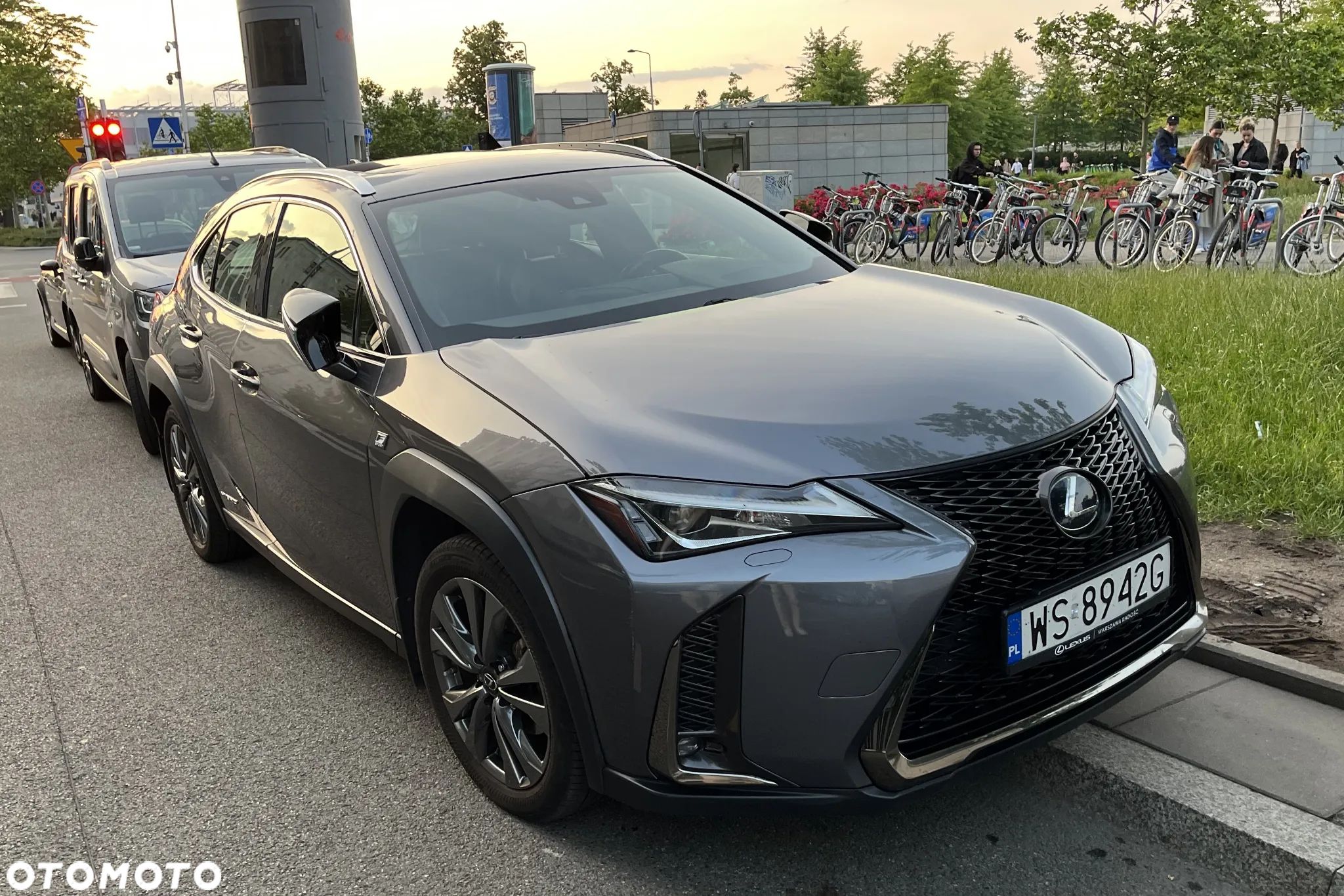 Lexus UX 250h GPF F Sport Edition AWD - 1