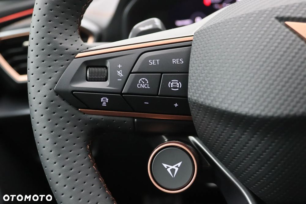 Cupra Formentor 2.0 TSI 4Drive DSG VZ - 17