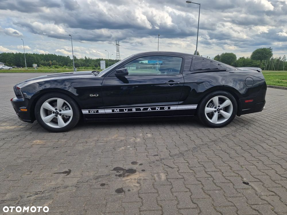 Ford Mustang 5.0 Ti-VCT V8 Black Shadow Edition - 14