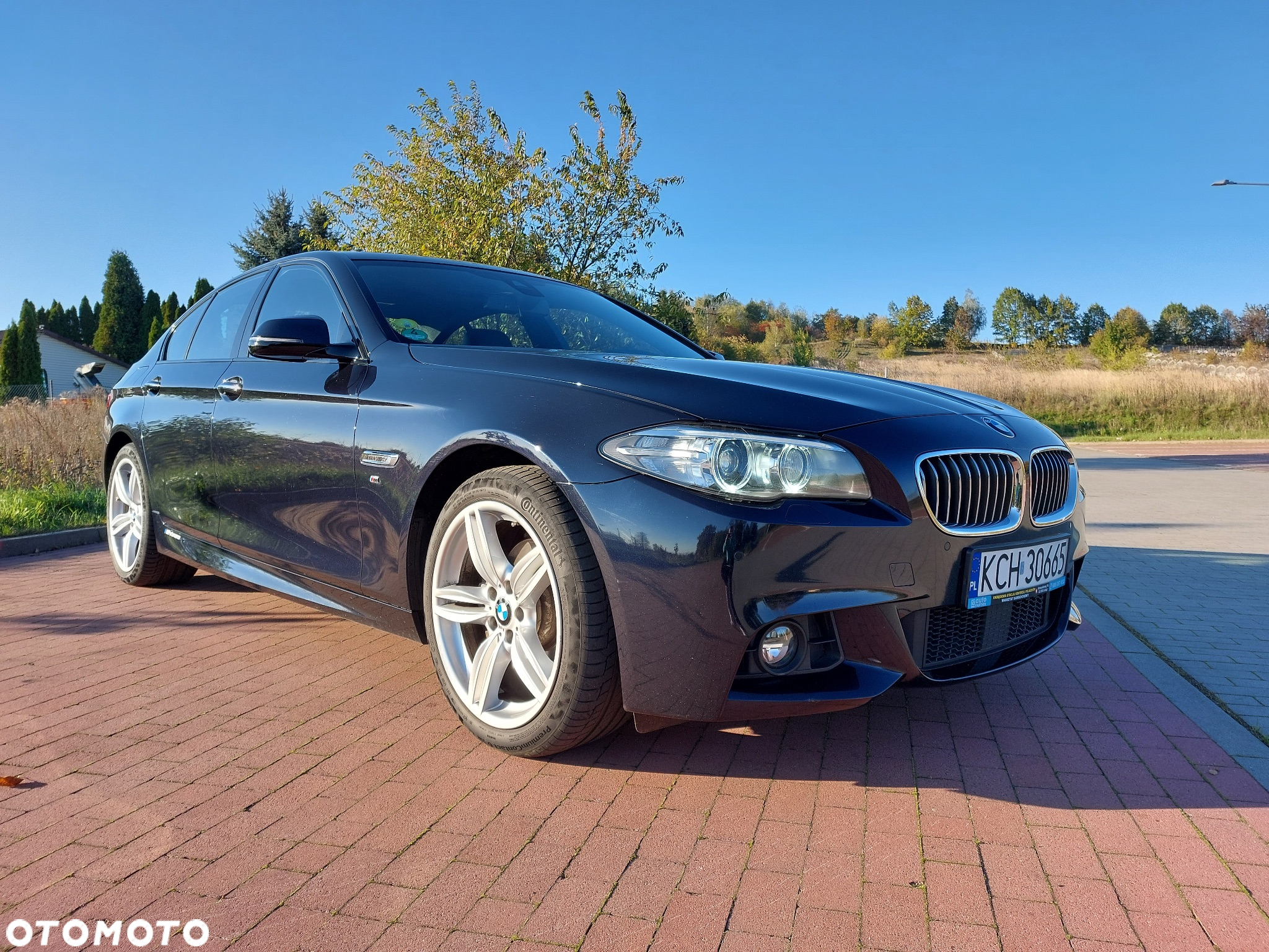BMW Seria 5 520d M Sport - 9