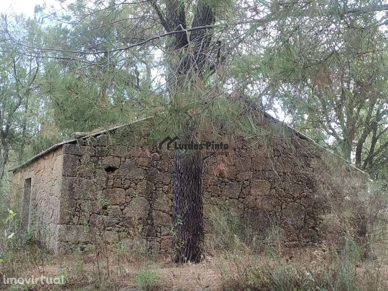 Quinta com casa em pedra - Grande imagem: 2/17