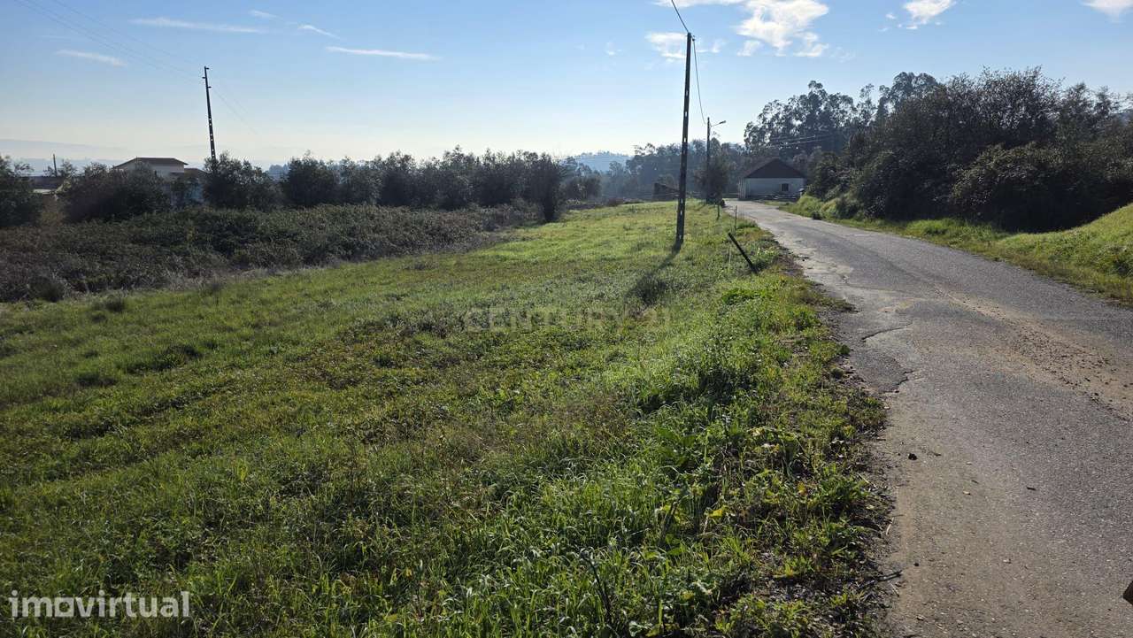 Terreno em Soure, Coimbra - Excelente oportunidade de négocio - Grande imagem: 2/14