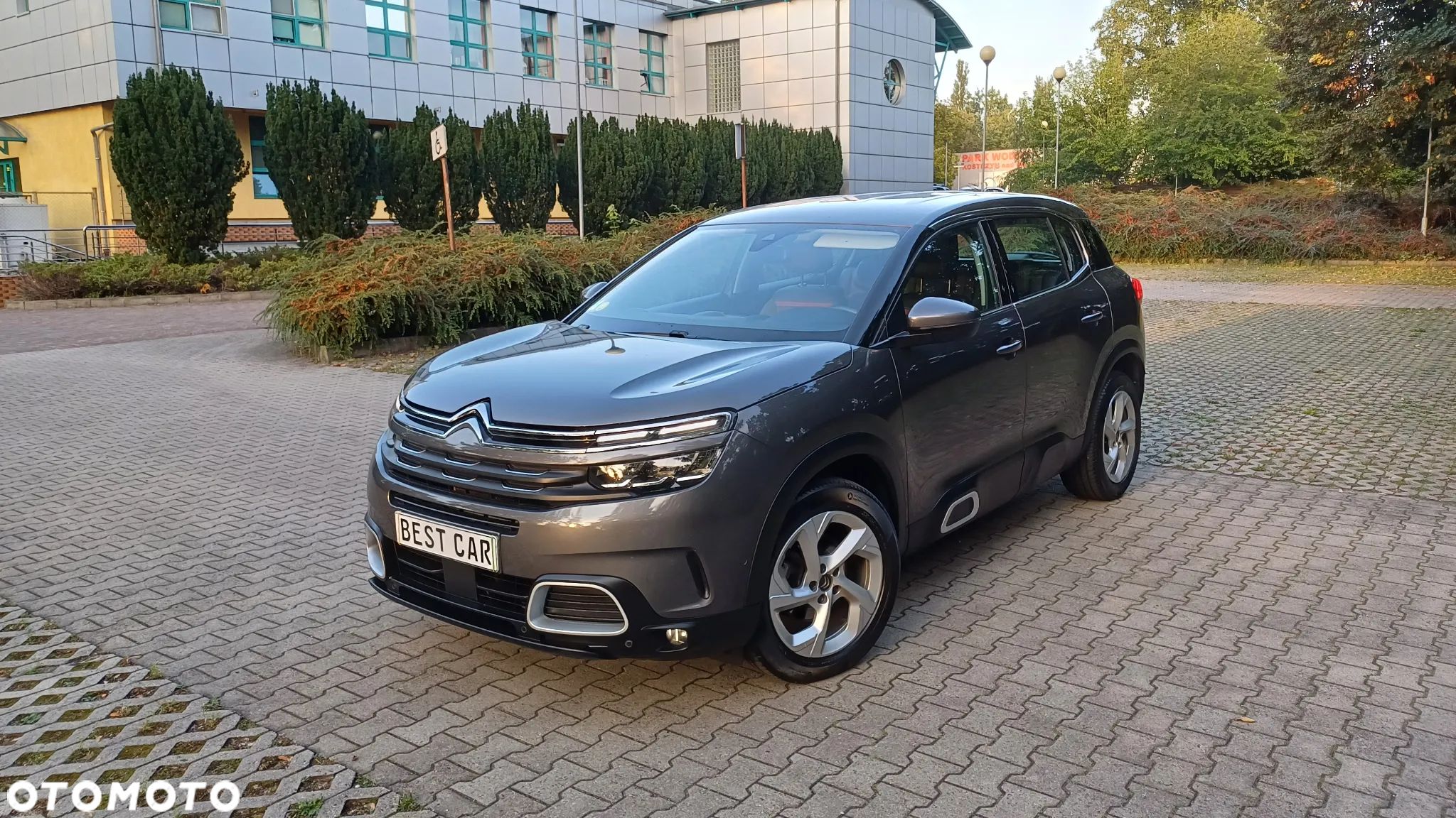 Citroën C5 Aircross BlueHDI 130 S&S EAT8 C-SERIES - 1