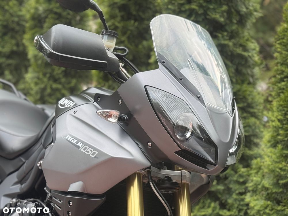 Triumph Tiger - 11