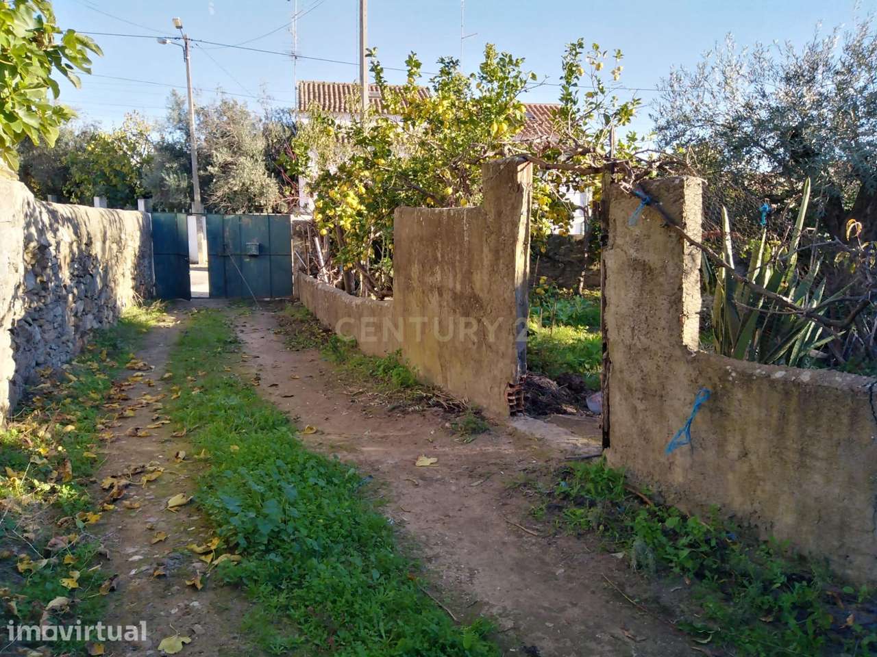 Casa Isolada em Zebreira, Idanha a Nova - Oportunidade Única - Grande imagem: 2/24