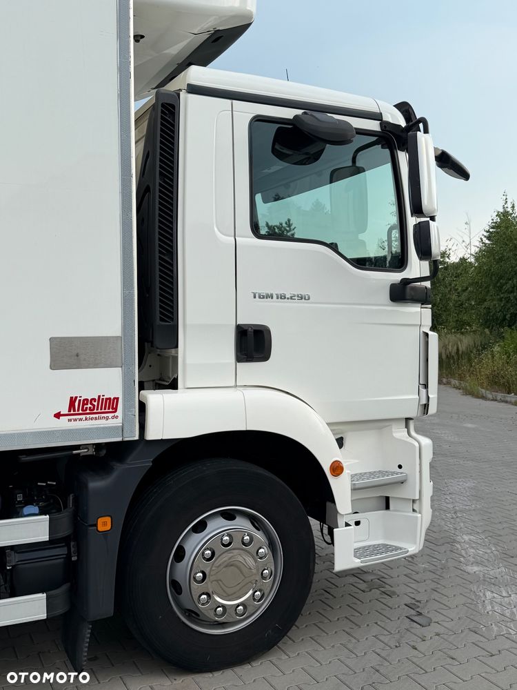 MAN TGM 18.290 / CHŁODNIA / WINDA / 18 PALET / AUTOMAT / NISKI PRZEBIEG / 8 370 KG ŁADOWNOŚCI / CARRIER / 2018 ROK - 8