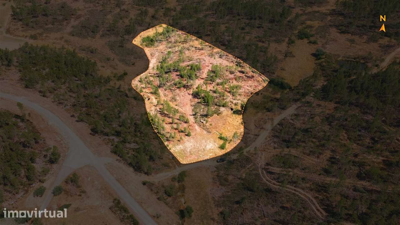 Quinta T0 Venda em Santo André das Tojeiras,Castelo Branco - Grande imagem: 2/24