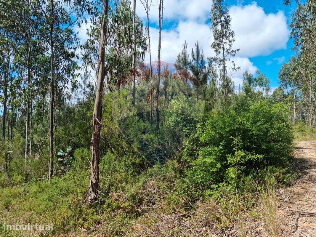 Terreno  para venda - Grande imagem: 3/4