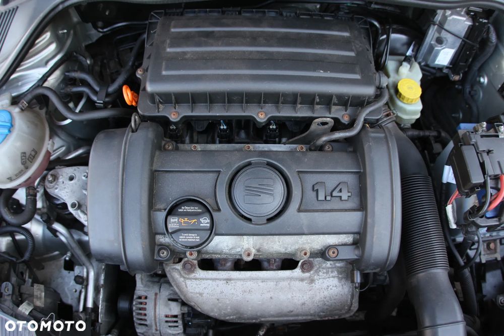 Seat Ibiza - 37