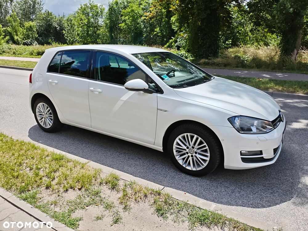 Volkswagen Golf 1.6 TDI BlueMotion Technology Cup - 2