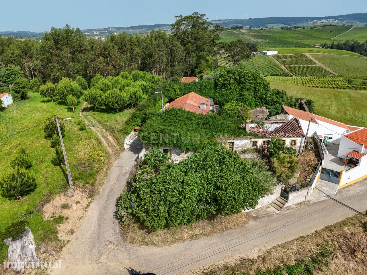 Moradia Térrea para Remodelação - Grande imagem: 5/8