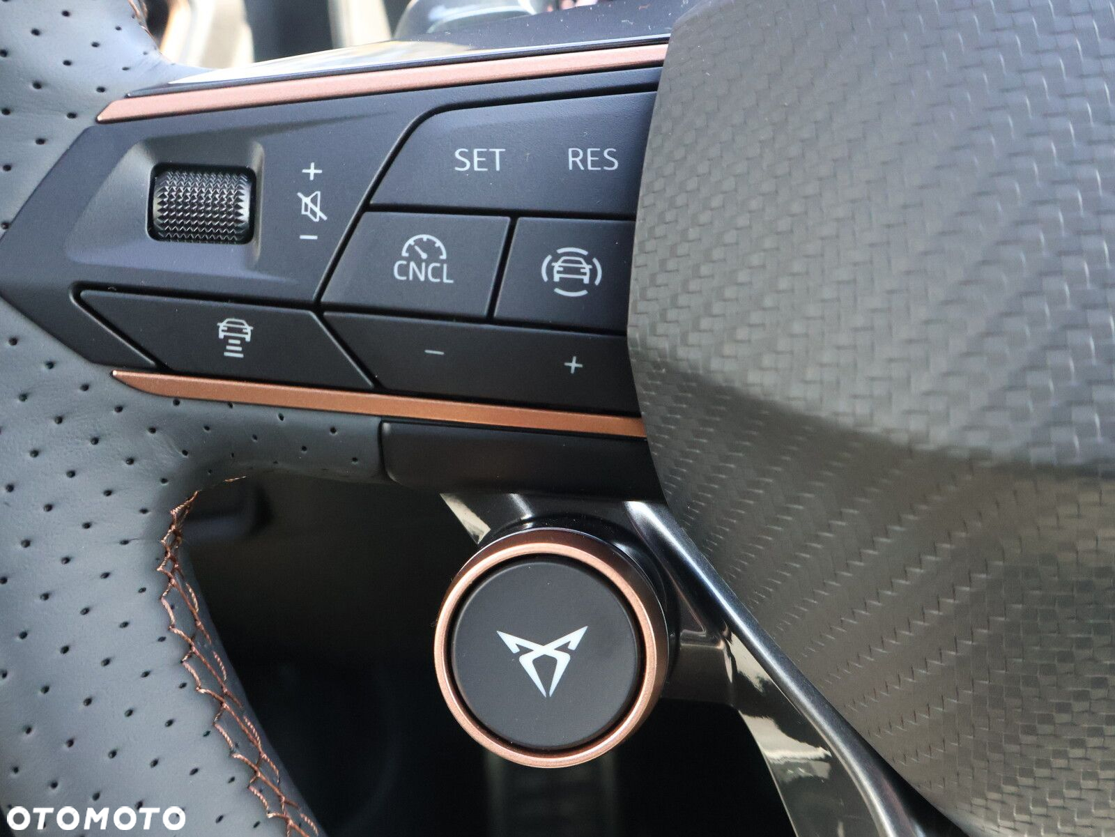 Cupra Formentor - 32