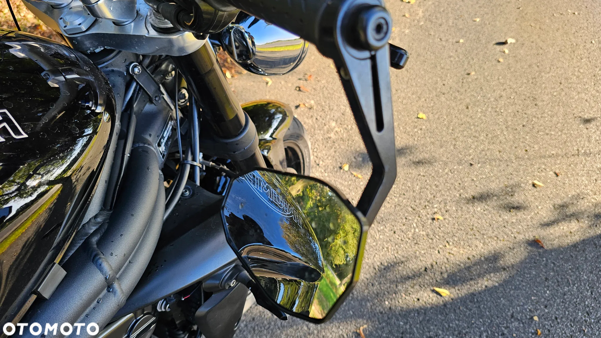Triumph Speed Triple - 13