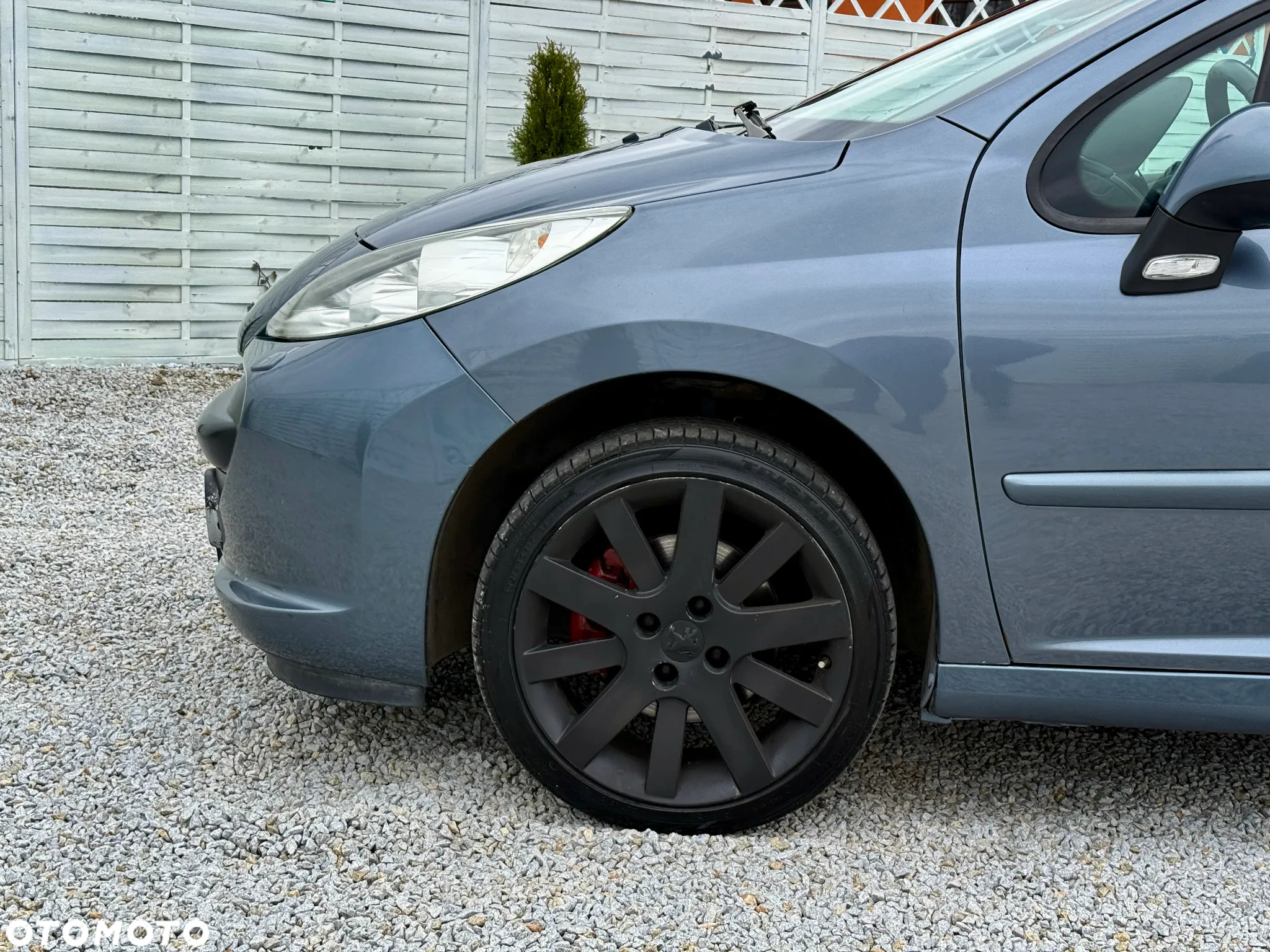 Peugeot 207 150 Turbo Sport - 19