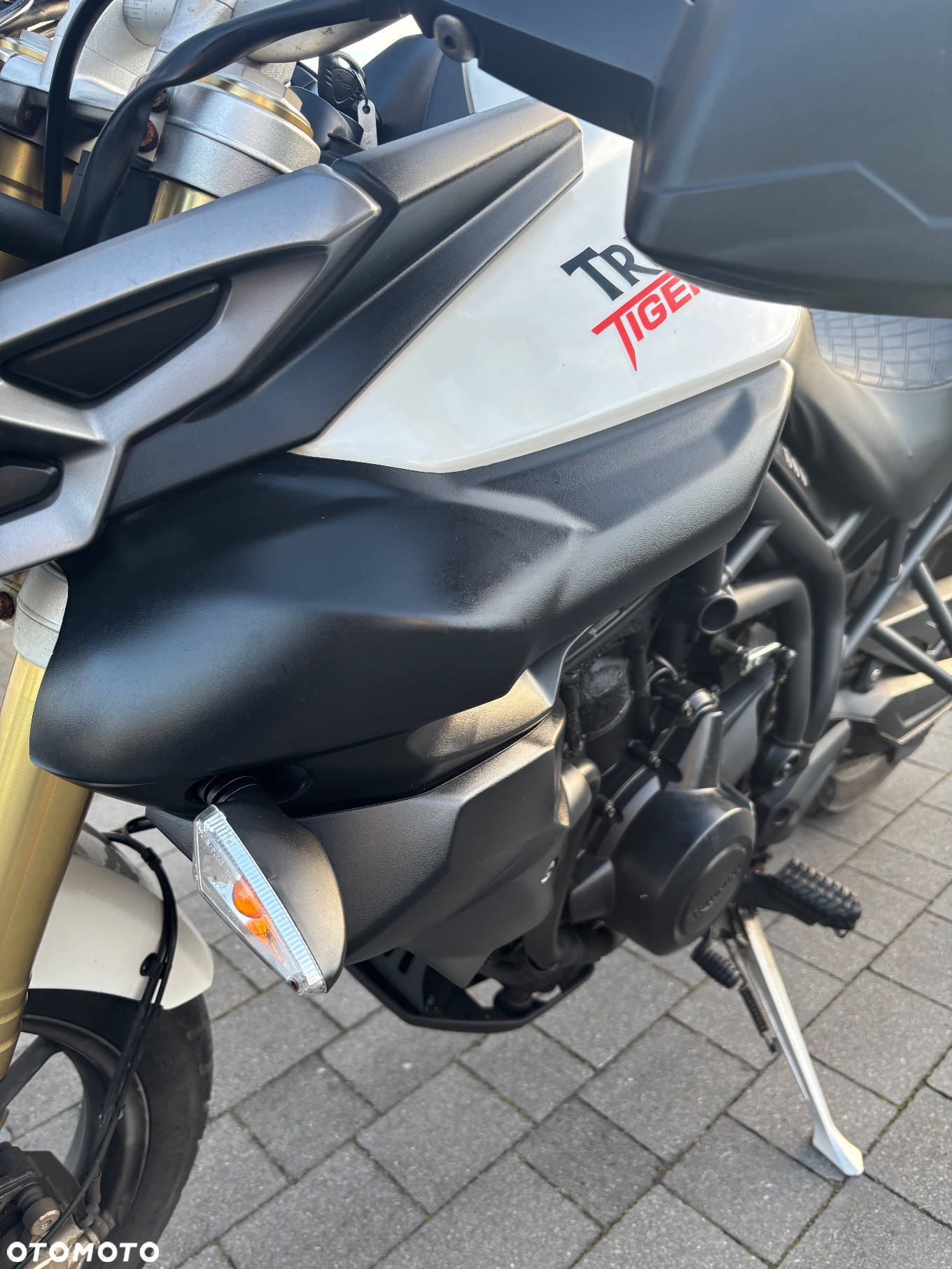 Triumph Tiger - 16