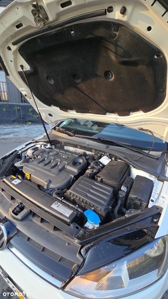 Volkswagen Golf - 32