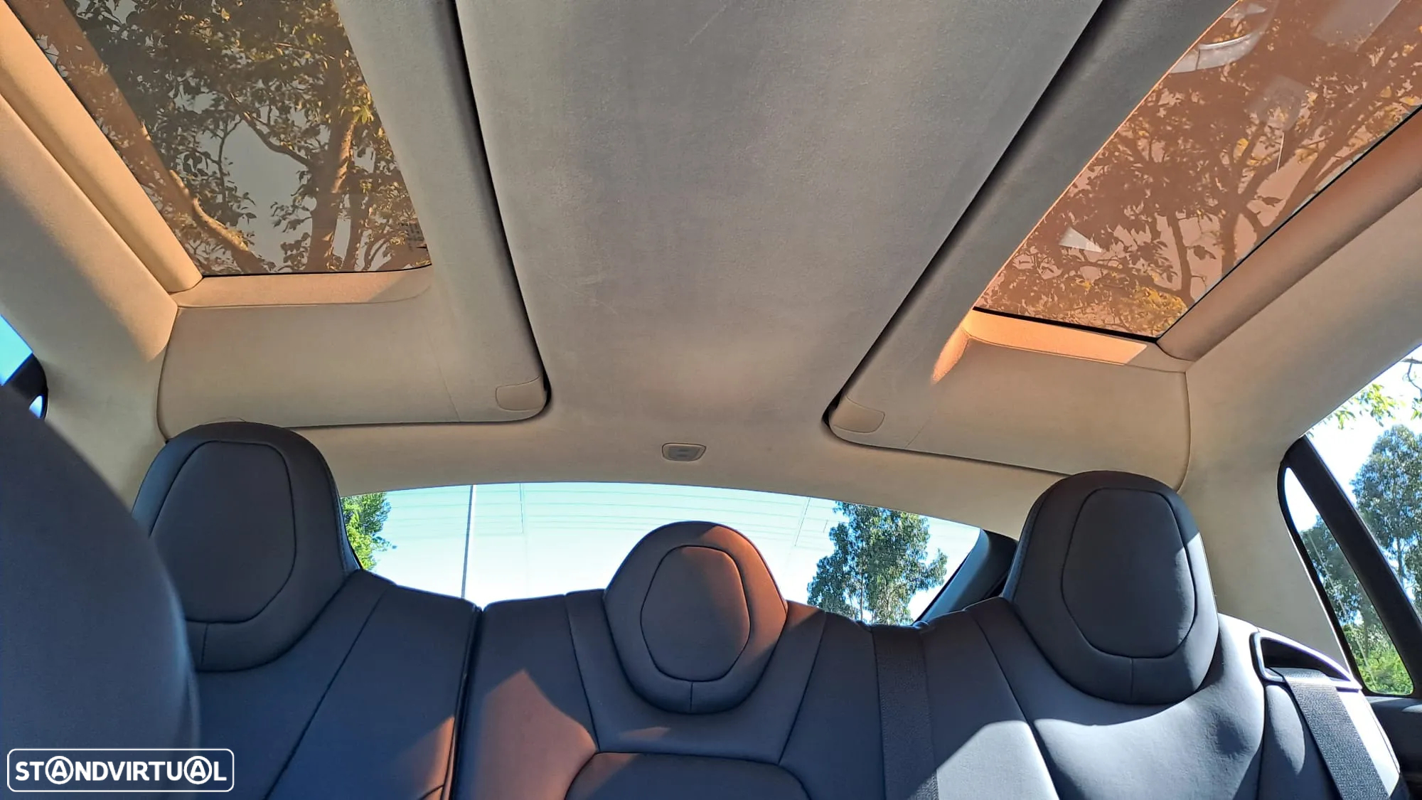 Tesla Model X 100D - 18