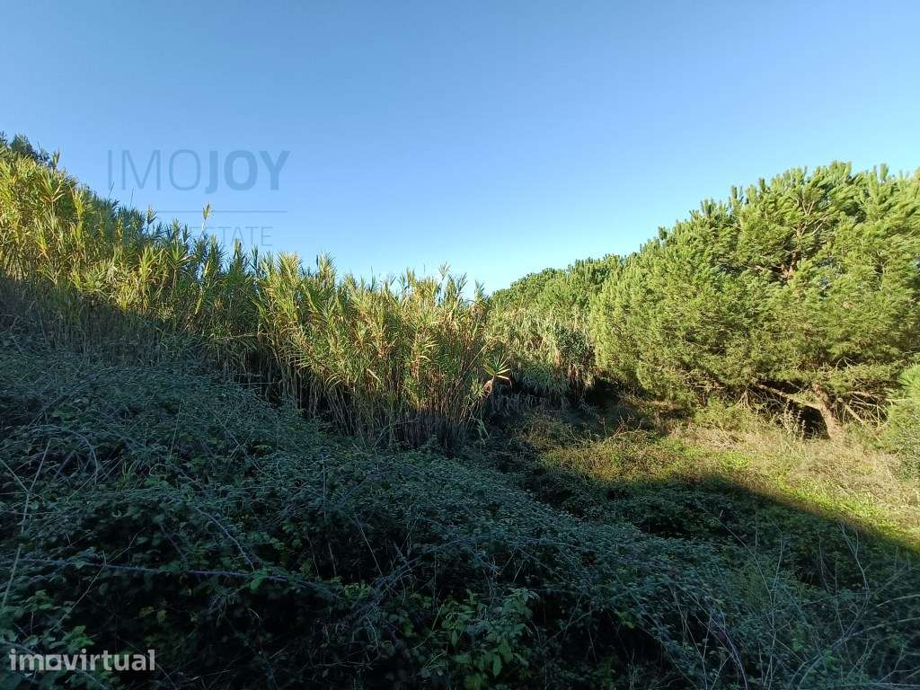 Terreno Urbano para Venda na Trafaria em Almada - Grande imagem: 2/18