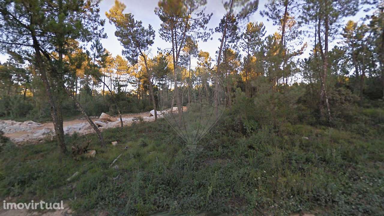 Terreno  para venda - Grande imagem: 2/12