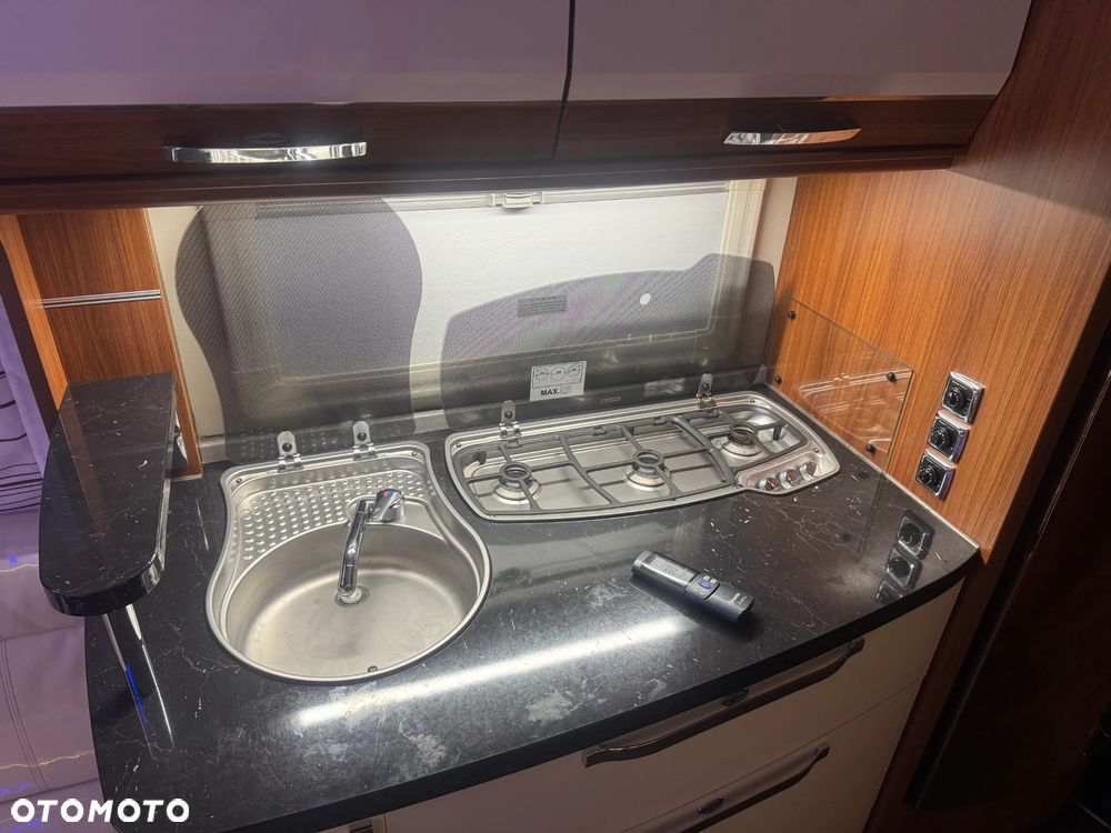 Tabbert Puccini - 13