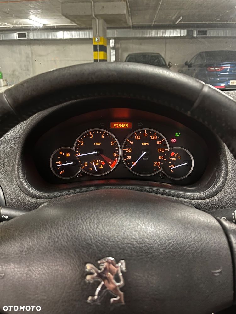 Peugeot 206 - 7