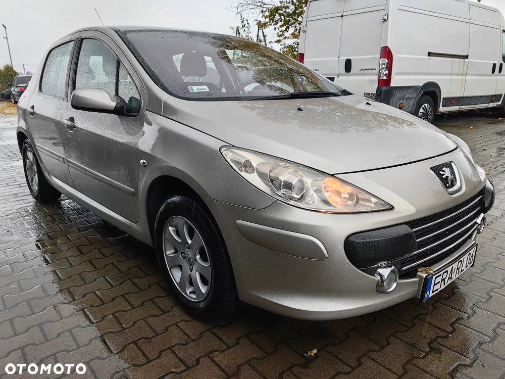 Peugeot 307 1.4 Presence - 2