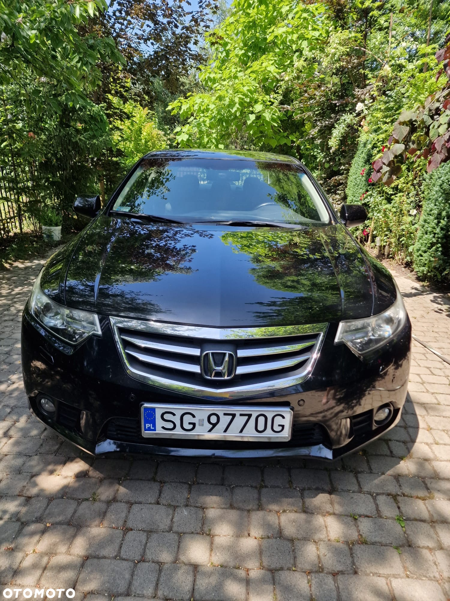 Honda Accord 2.4 Executive Nav+ACC - 3