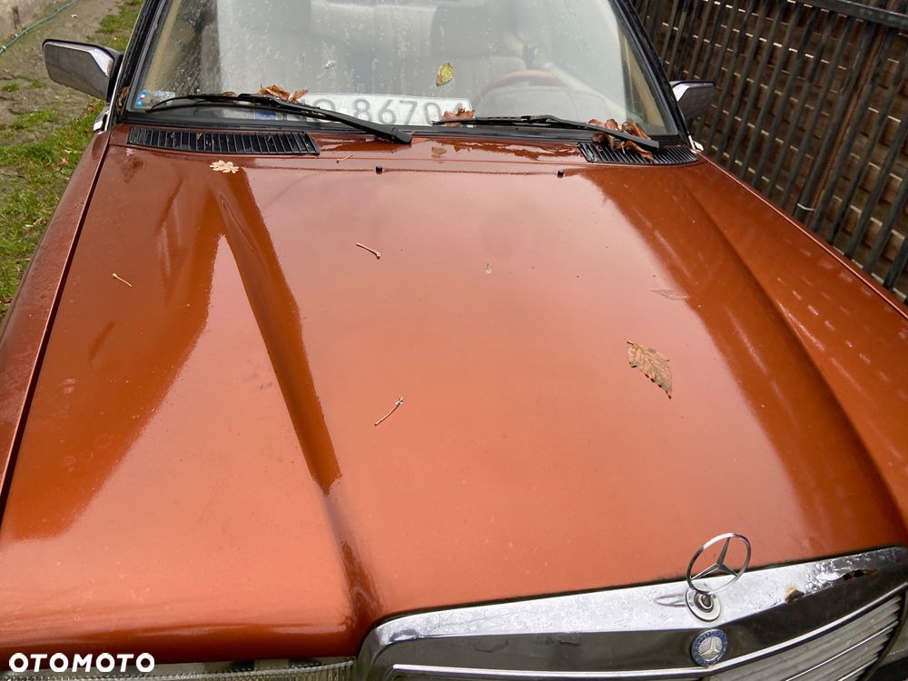 Mercedes-Benz W123 - 10