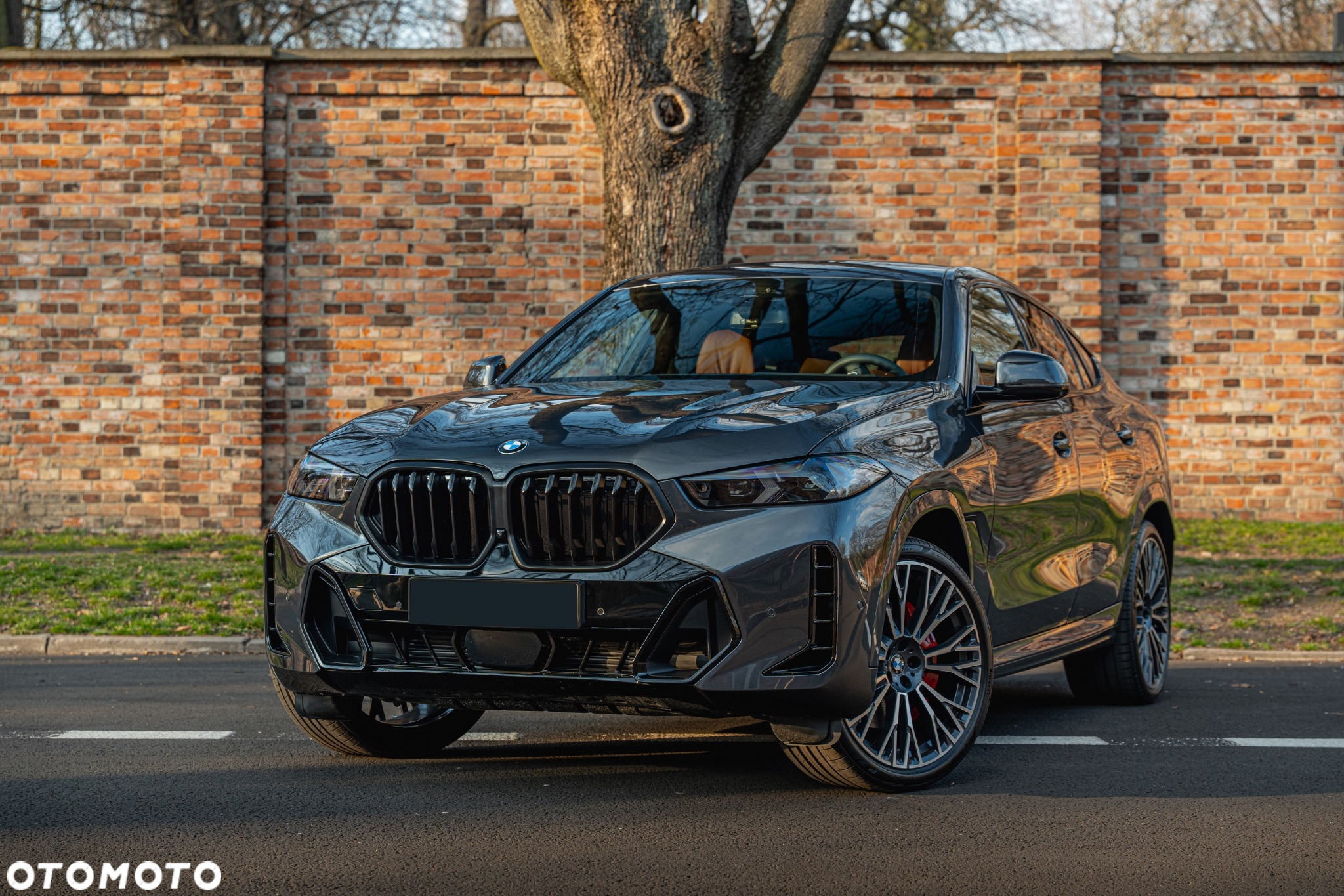 BMW X6 xDrive30d - 5