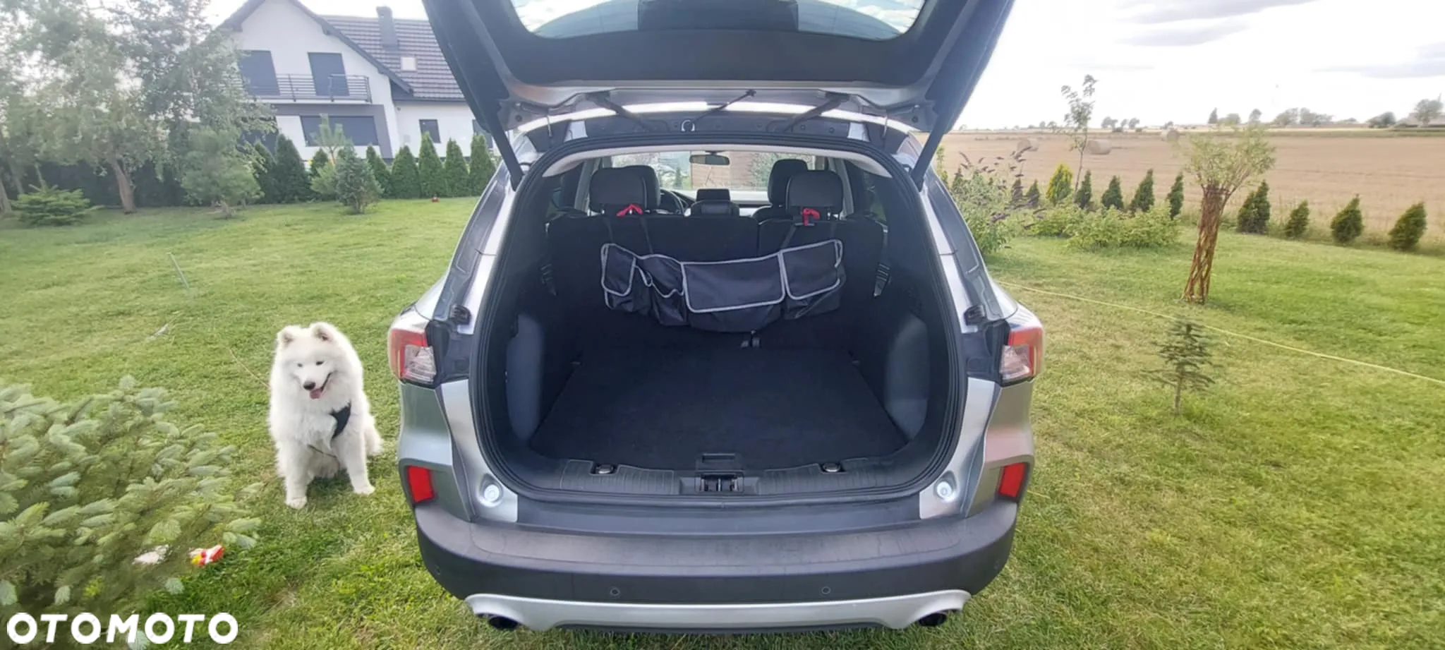 Ford Escape 1.5 EcoBoost AWD SE - 3
