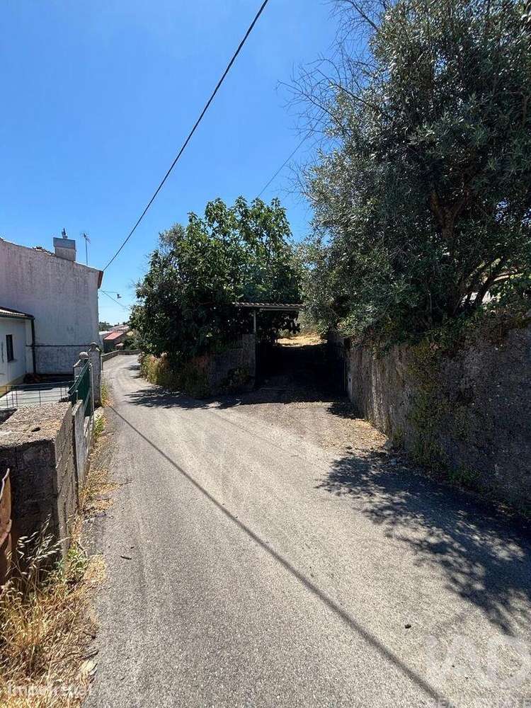 Terreno para construção em Proença-a-Nova e Peral - Grande imagem: 4/10